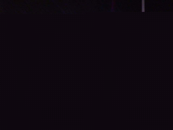 交警處理突發(fā)情況