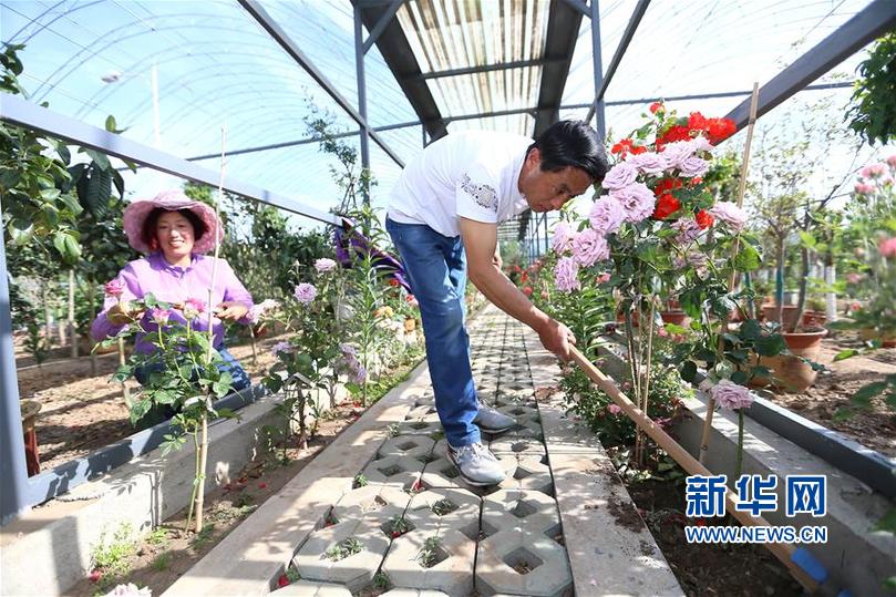 點擊查看下一頁